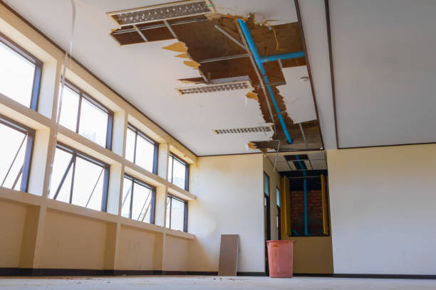 Best Mold removal after water damage  in Avalon, NJ