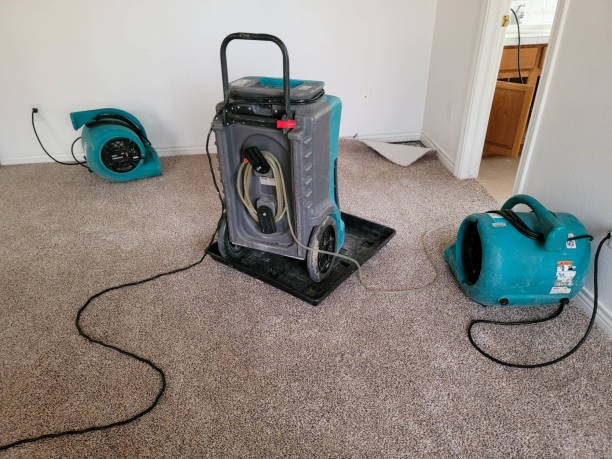 Best Sewage cleanup and water damage restoration  in Avalon, NJ