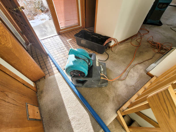 Best Commercial water damage restoration  in Avalon, NJ