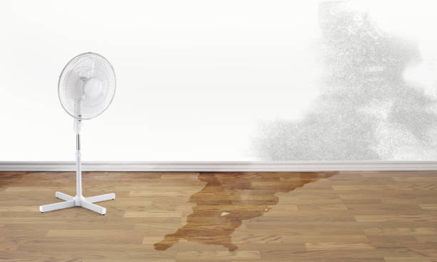 Avalon, NJ Water damage restoration Pros
