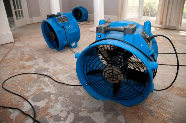 Best Carpet water damage restoration  in Avalon, NJ
