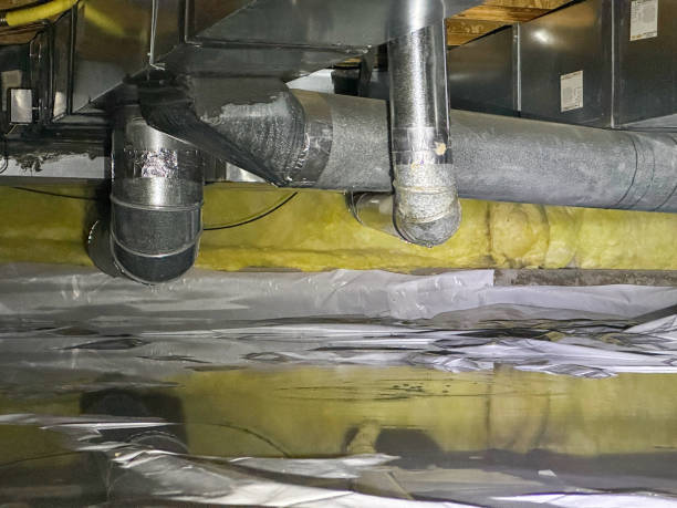 Best Professional water damage repair  in Avalon, NJ